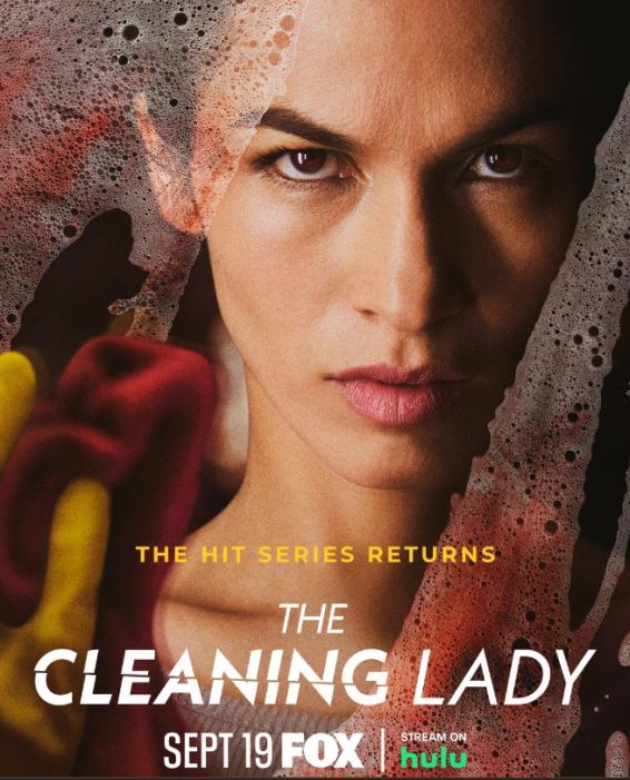 THe Cleaning Lady