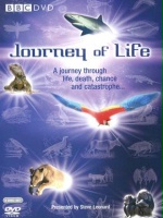 Journey of Life