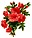 :kwiaty